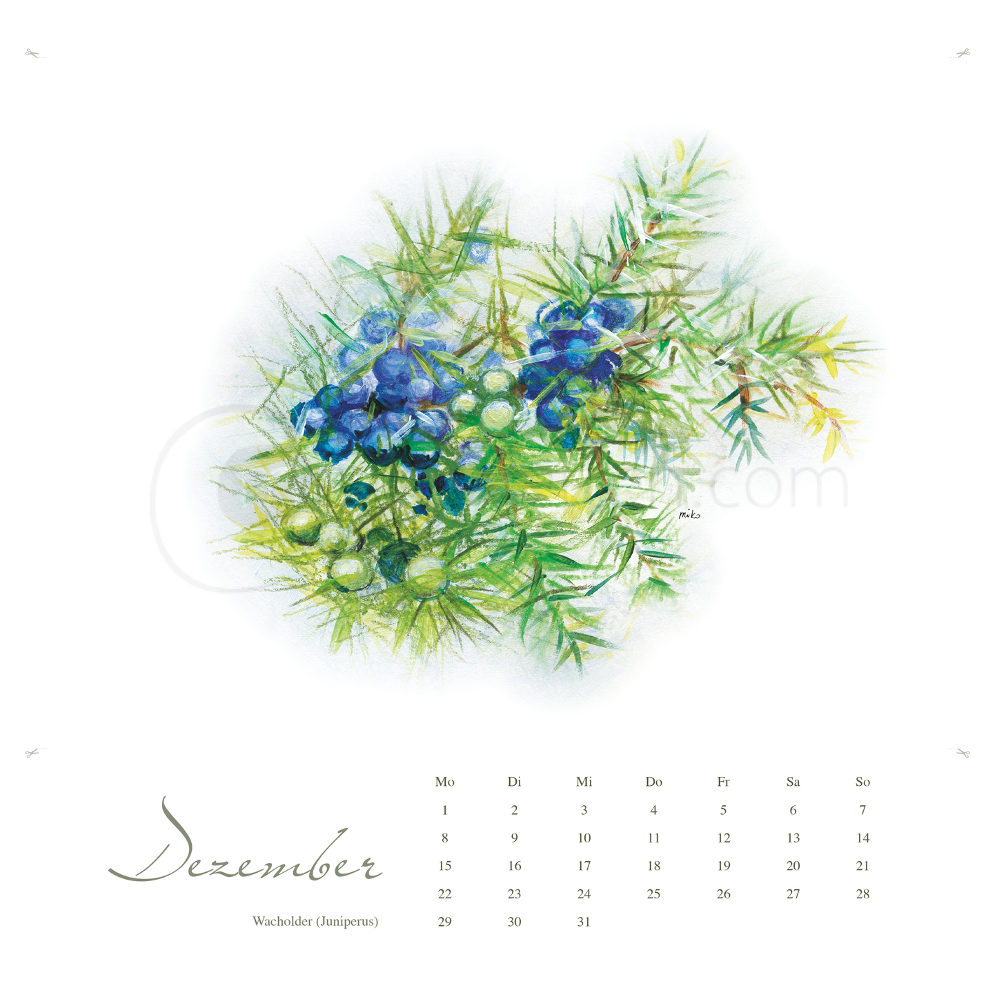 Kneipps Kräuterzauber – Natur entdecken im Kalender 2025 Kalender meinewelten.com Michalina Koch