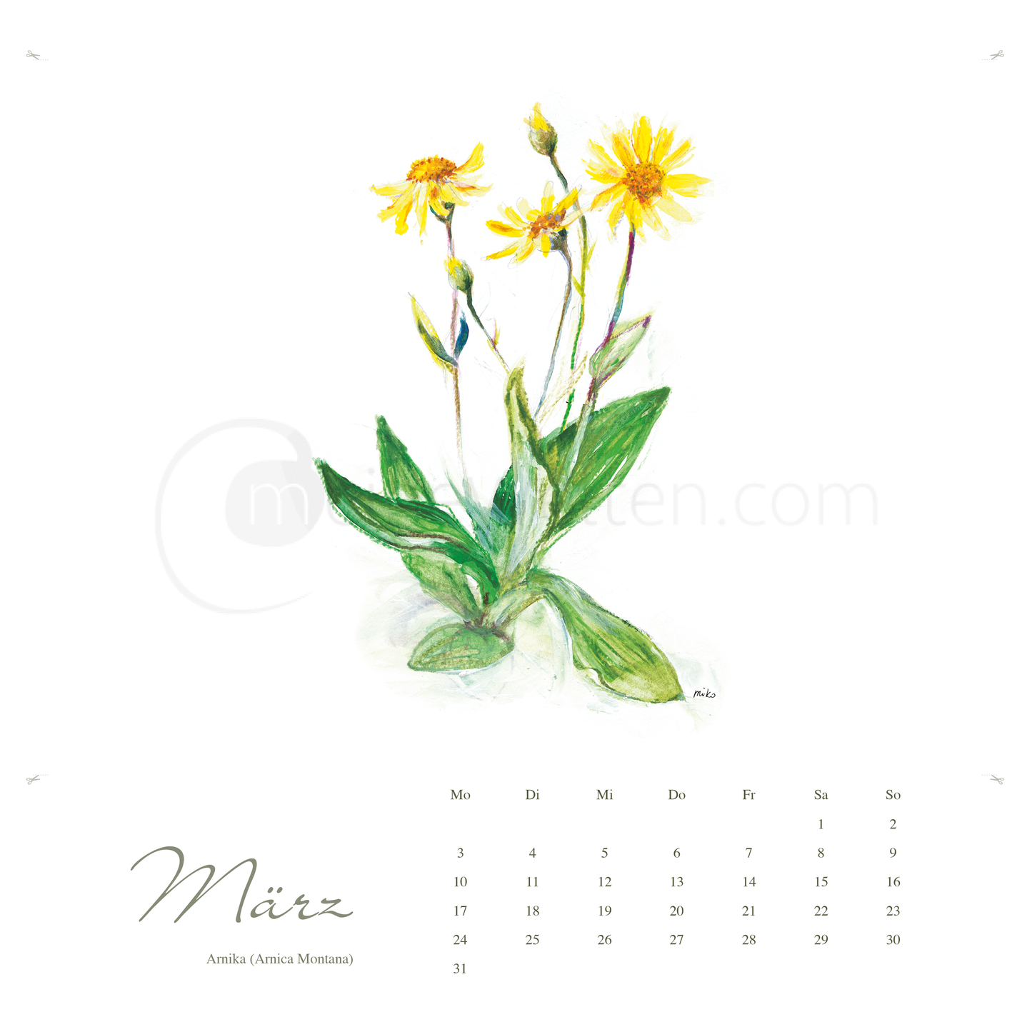 Kneipps Kräuterzauber – Natur entdecken im Kalender 2025 Kalender meinewelten.com Michalina Koch