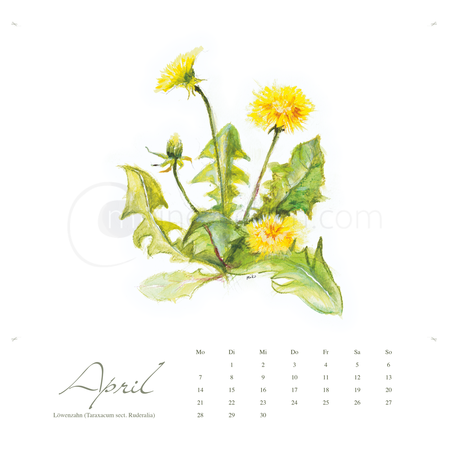 Kneipps Kräuterzauber – Natur entdecken im Kalender 2025 Kalender meinewelten.com Michalina Koch