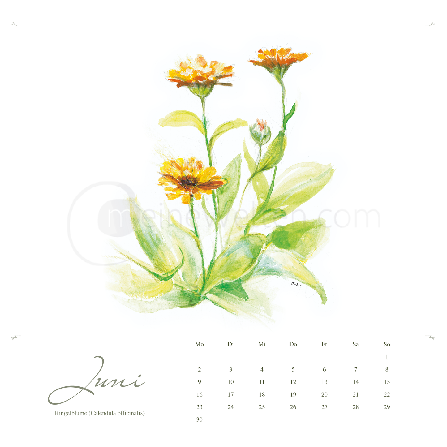 Kneipps Kräuterzauber – Natur entdecken im Kalender 2025 Kalender meinewelten.com Michalina Koch