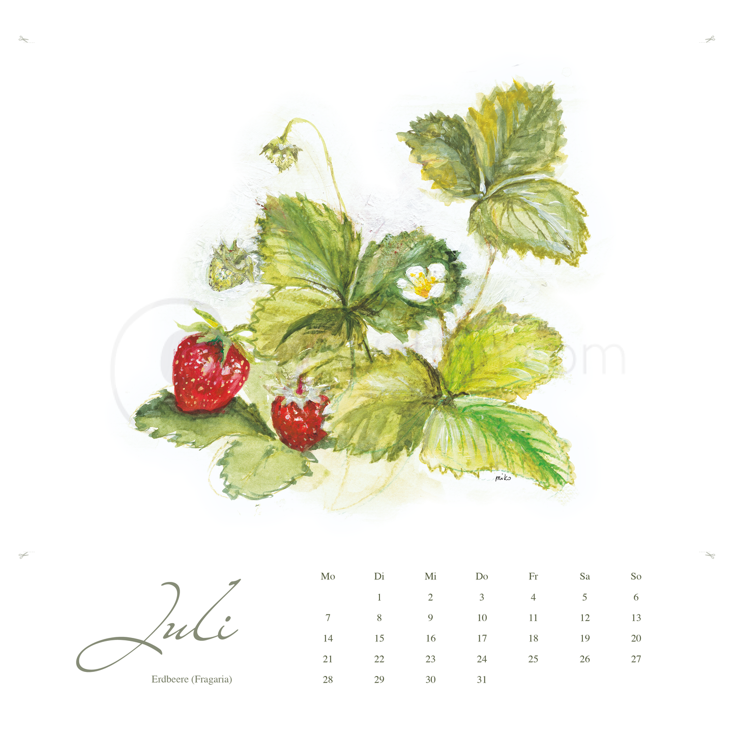 Kneipps Kräuterzauber – Natur entdecken im Kalender 2025 Kalender meinewelten.com Michalina Koch