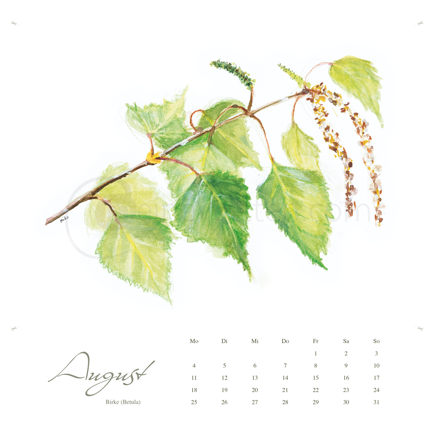 Kneipps Kräuterzauber – Natur entdecken im Kalender 2025 Kalender meinewelten.com Michalina Koch