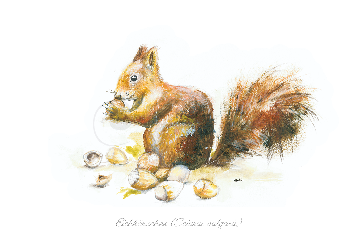 Eichhörnchen Aquarell-Postkarte Postkarten meinewelten.com Michalina Koch