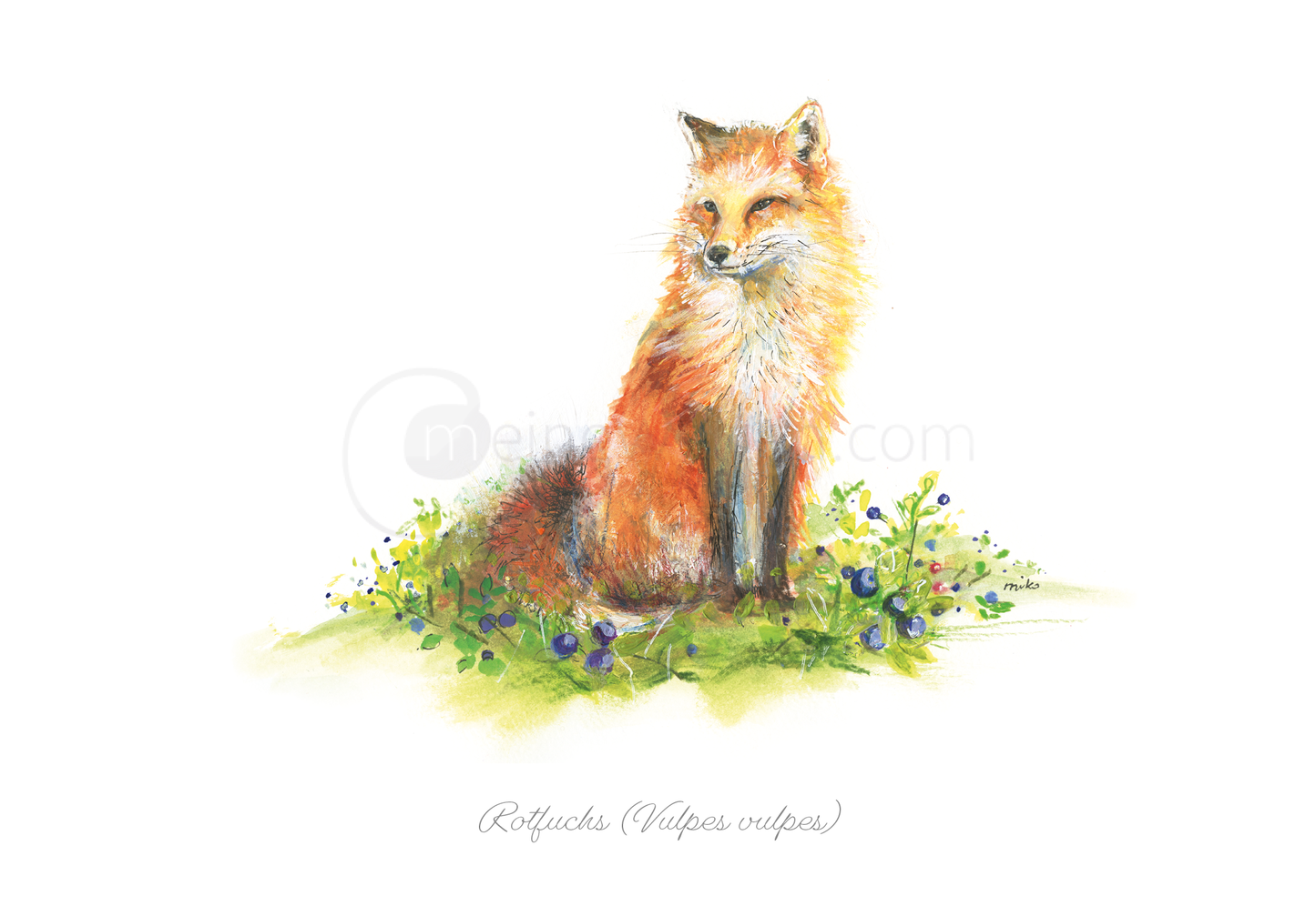 Postkarte mit Rotfuchs-Motiv (Vulpes vulpes) Postkarten meinewelten.com Michalina Koch