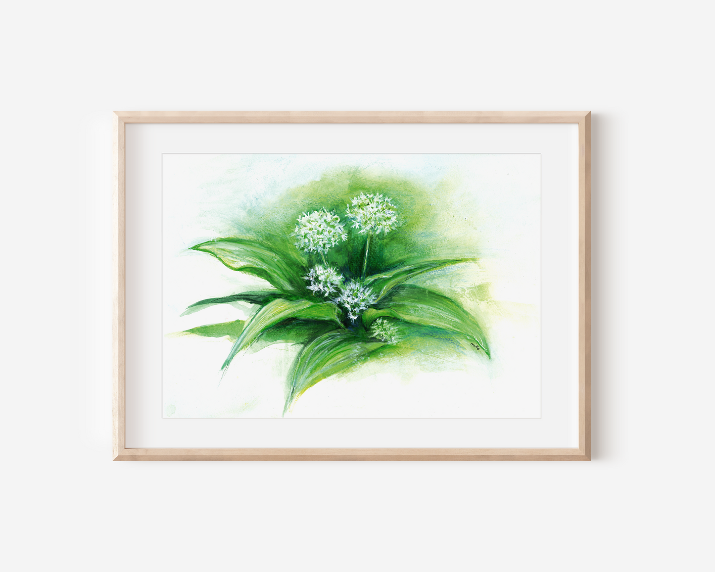 Bärlauch Aquarell Print