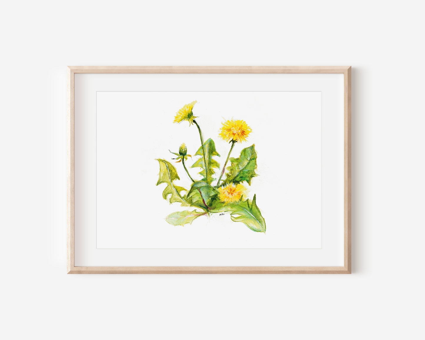 Löwenzahn Aquarell Print