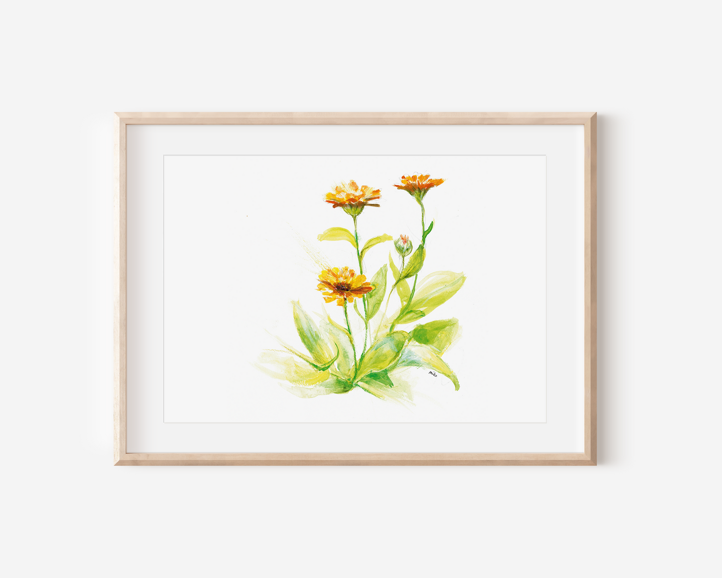 Ringelblume Print DIN A4 matowy papier artystyczny 250g Jakość